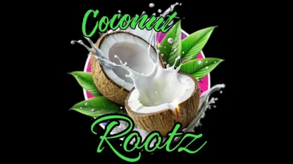 my everything by coconut rootz