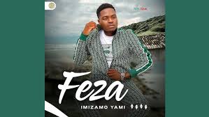 feza imizamo yami